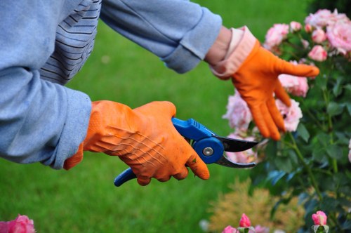 Photo showing a Sidcup garden pathway and gardeners at work, overview view