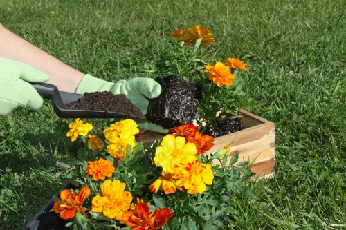 Gardener inspecting a planting bed to assess a complaint